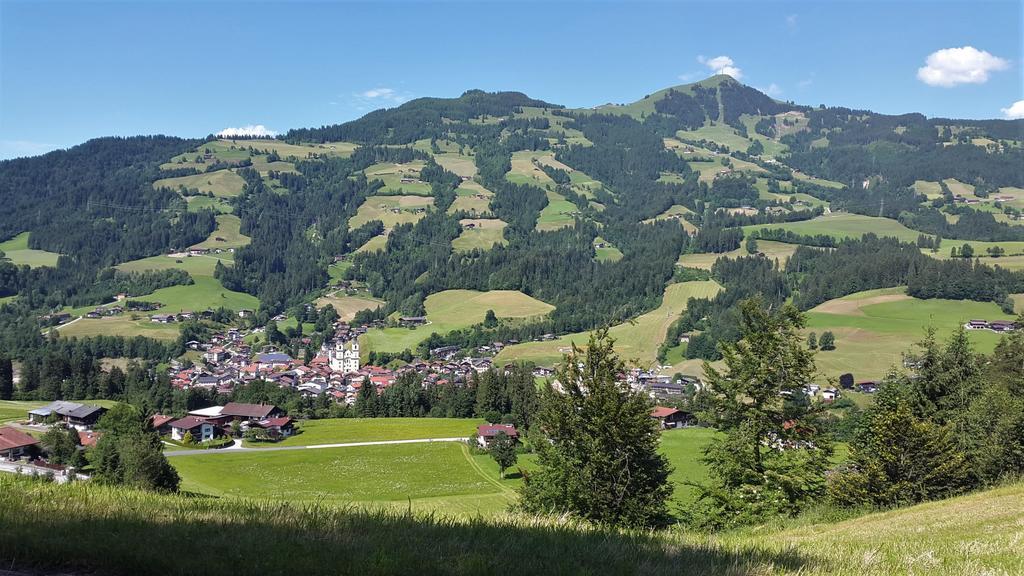 הופגרטן אים בריקסנטל Landhaus Tirol מראה חיצוני תמונה